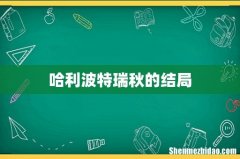 哈利波特瑞秋的结局