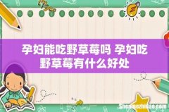 孕妇能吃野草莓吗 孕妇吃野草莓有什么好处