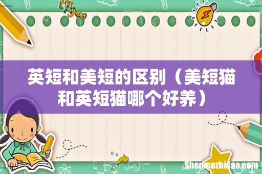 美短猫和英短猫哪个好养 英短和美短的区别
