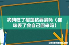 猫咪丢了会自己回来吗 狗狗吃了榴莲核要紧吗