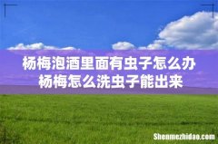 杨梅泡酒里面有虫子怎么办 杨梅怎么洗虫子能出来