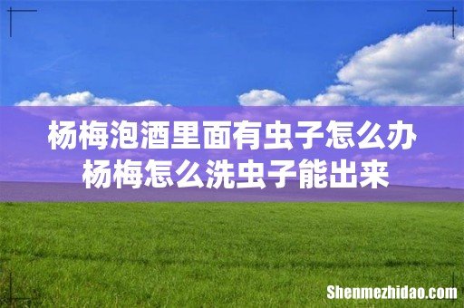 杨梅泡酒里面有虫子怎么办 杨梅怎么洗虫子能出来
