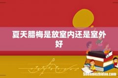 夏天腊梅是放室内还是室外好