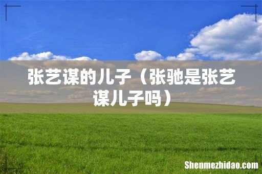 张驰是张艺谋儿子吗 张艺谋的儿子