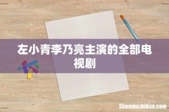 左小青李乃亮主演的全部电视剧