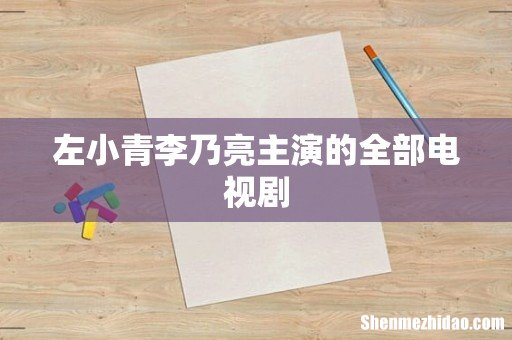 左小青李乃亮主演的全部电视剧