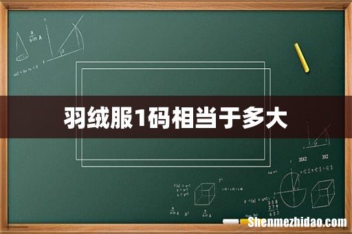 羽绒服1码相当于多大