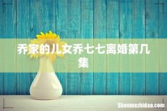乔家的儿女乔七七离婚第几集