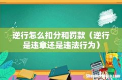 逆行是违章还是违法行为 逆行怎么扣分和罚款