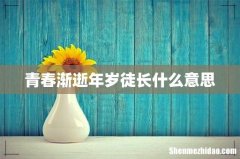 青春渐逝年岁徒长什么意思