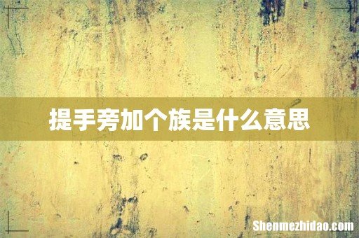 提手旁加个族是什么意思
