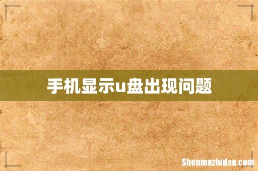 手机显示u盘出现问题