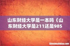 山东财经大学是一本吗（山东财经大学是211还是985)