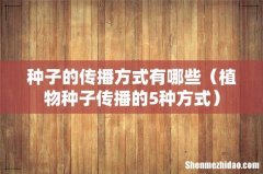 植物种子传播的5种方式 种子的传播方式有哪些