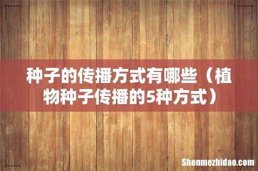植物种子传播的5种方式 种子的传播方式有哪些