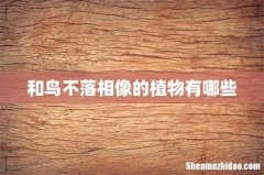 和鸟不落相像的植物有哪些