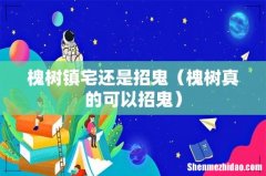 槐树真的可以招鬼 槐树镇宅还是招鬼