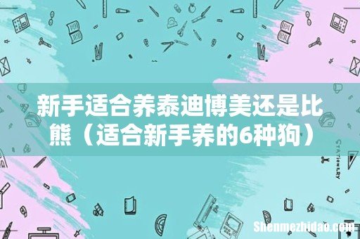 适合新手养的6种狗 新手适合养泰迪博美还是比熊