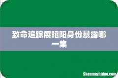 致命追踪展昭阳身份暴露哪一集