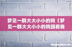 梦见一群大大小小的狗（梦见一群大大小小的狗跟着我)