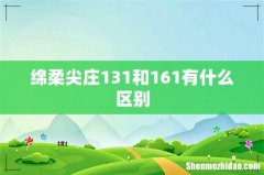 绵柔尖庄131和161有什么区别