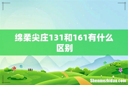 绵柔尖庄131和161有什么区别
