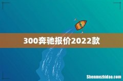 300奔驰报价2022款