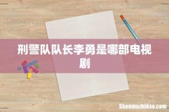 刑警队队长李勇是哪部电视剧