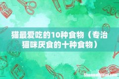 专治猫咪厌食的十种食物 猫最爱吃的10种食物