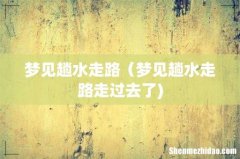 梦见趟水走路（梦见趟水走路走过去了)