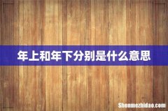 年上和年下分别是什么意思