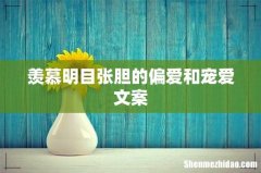 羡慕明目张胆的偏爱和宠爱文案
