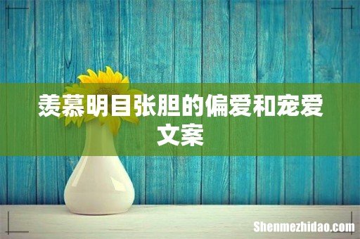 羡慕明目张胆的偏爱和宠爱文案