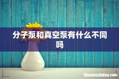 分子泵和真空泵有什么不同吗
