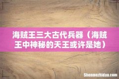海贼王中神秘的天王或许是她 海贼王三大古代兵器