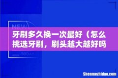 怎么挑选牙刷，刷头越大越好吗 牙刷多久换一次最好