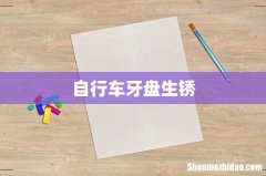 自行车牙盘生锈