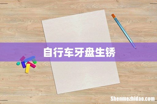 自行车牙盘生锈