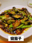湖南长茄子怎么做 长茄子的做法大全家常做法视频
