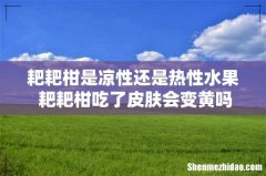 耙耙柑是凉性还是热性水果 耙耙柑吃了皮肤会变黄吗