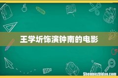王学圻饰演钟南的电影