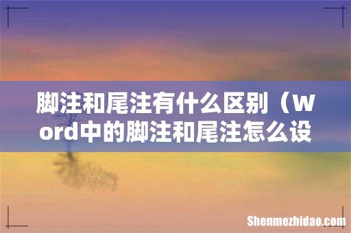 Word中的脚注和尾注怎么设置 脚注和尾注有什么区别