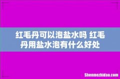 红毛丹可以泡盐水吗 红毛丹用盐水泡有什么好处