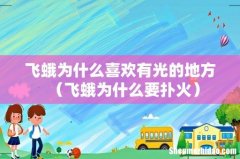 飞蛾为什么要扑火 飞蛾为什么喜欢有光的地方