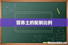 营养土的配制比例