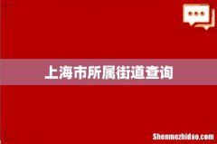 上海市所属街道查询