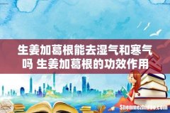 生姜加葛根能去湿气和寒气吗 生姜加葛根的功效作用