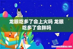 龙眼吃多了会上火吗 龙眼吃多了会胖吗