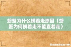 螃蟹为何横着走不能直着走 螃蟹为什么横着走原因