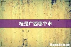 桂是广西哪个市